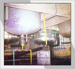 Ishandyes-photo-gallery-10